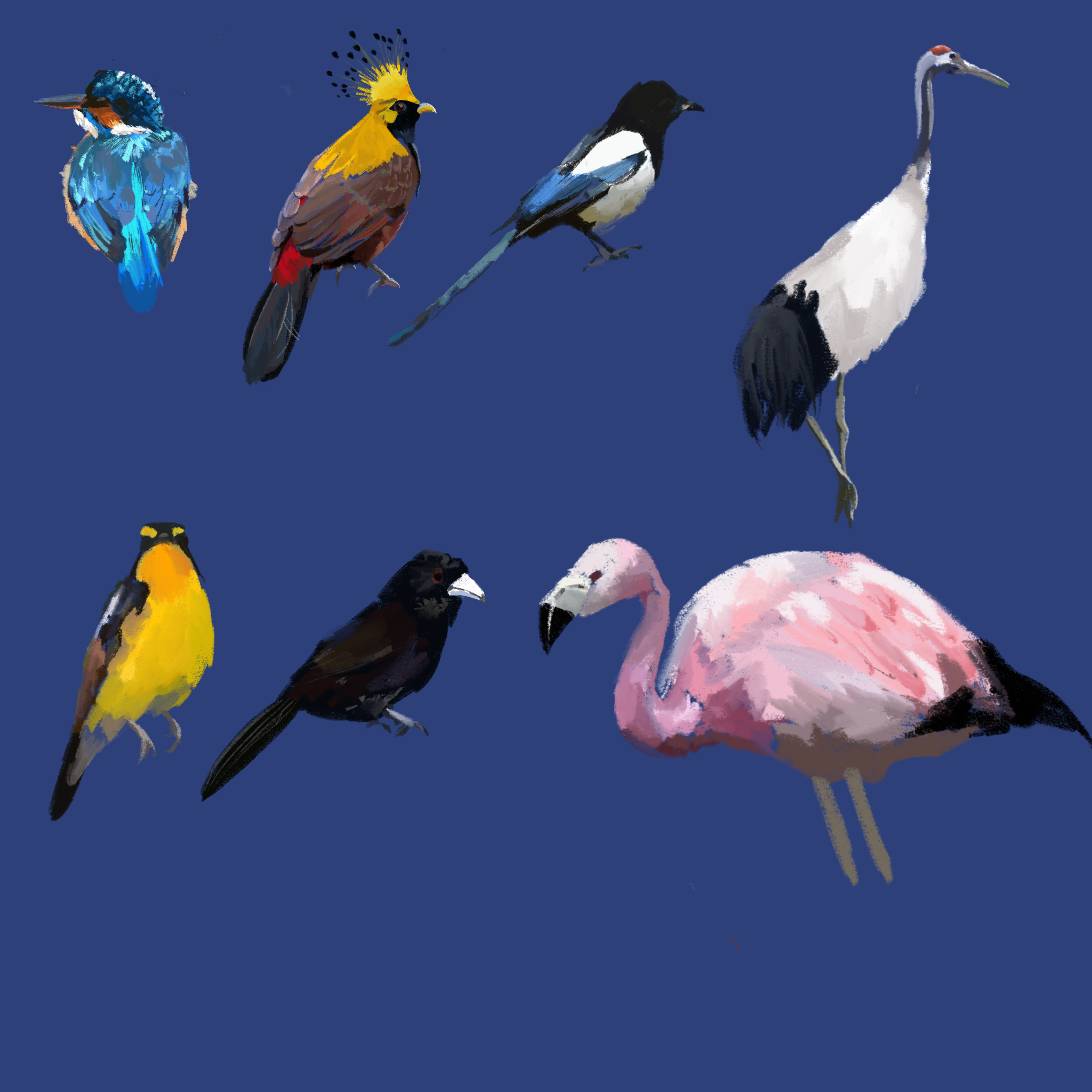 Seven colorful birds, including a crane and flamingo, painted against a blue background